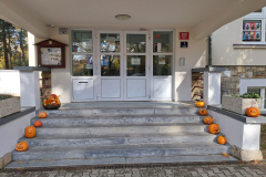 ed0e287c-e9f9-4497-8bf3-1b4fe5808639