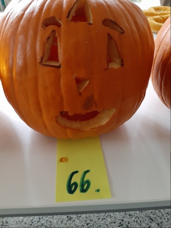 66